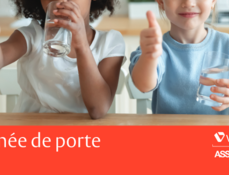 poigne de porte flex vachette assa abloy