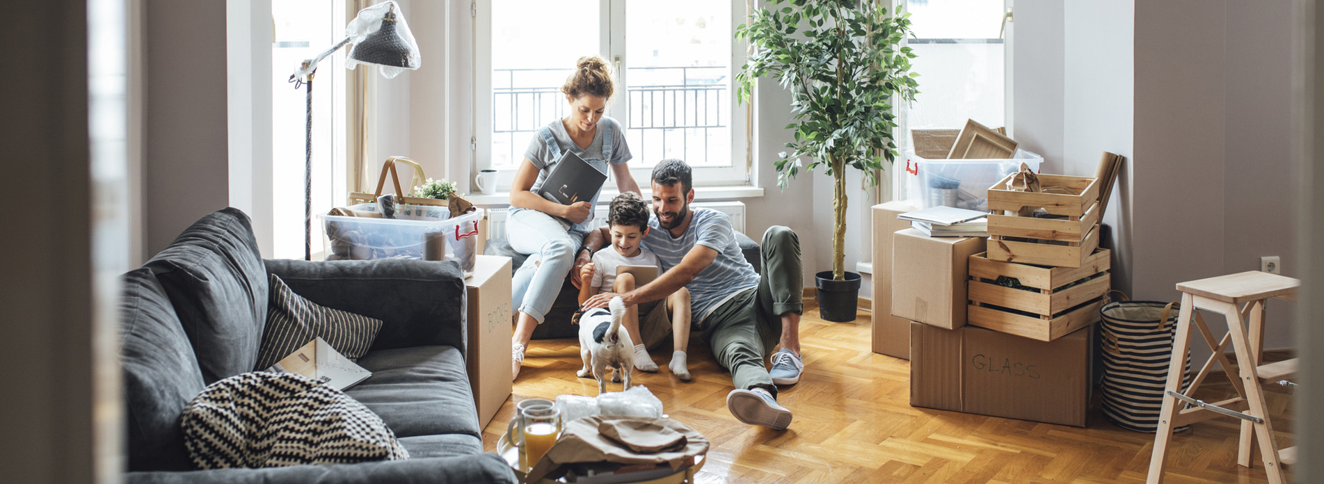 HANGIST à Paris, membre du réseau expert Vachette
